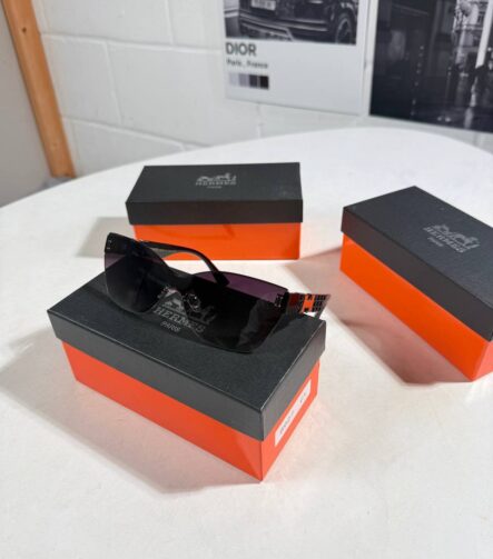 Hermes glasses